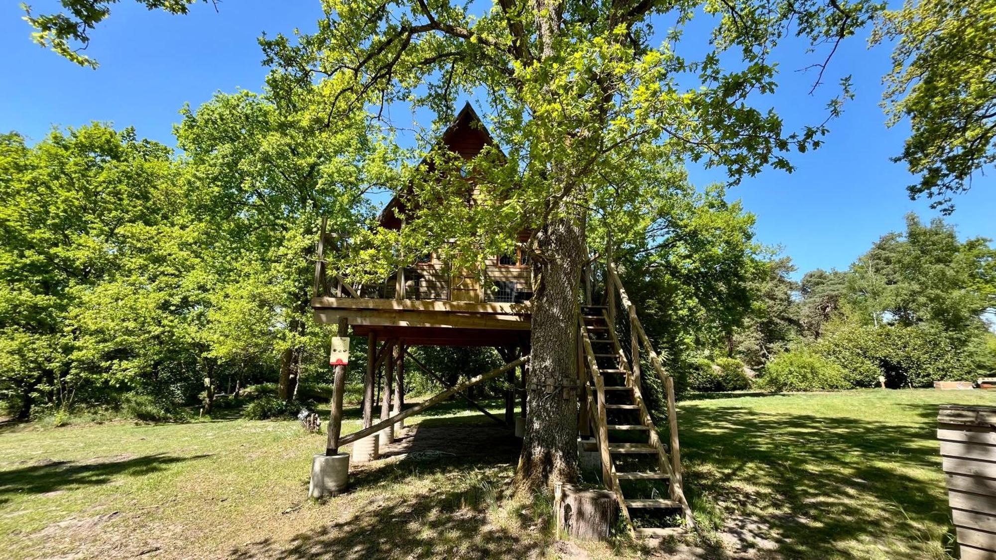 Le Nid Dans Les Bruyeres Bed & Breakfast Fère-en-Tardenois